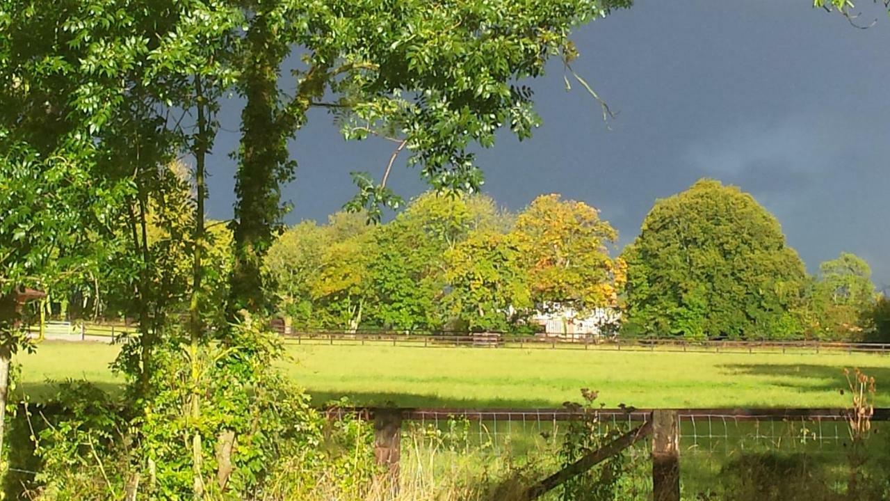 Gites De La Maison Du Haras Beuvron-en-Auge Buitenkant foto